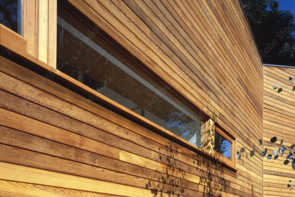 1000_F_135692498_hYI1iw20VVEytEgBoTjiKIcq82gfxKVU